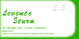 levente sturm business card